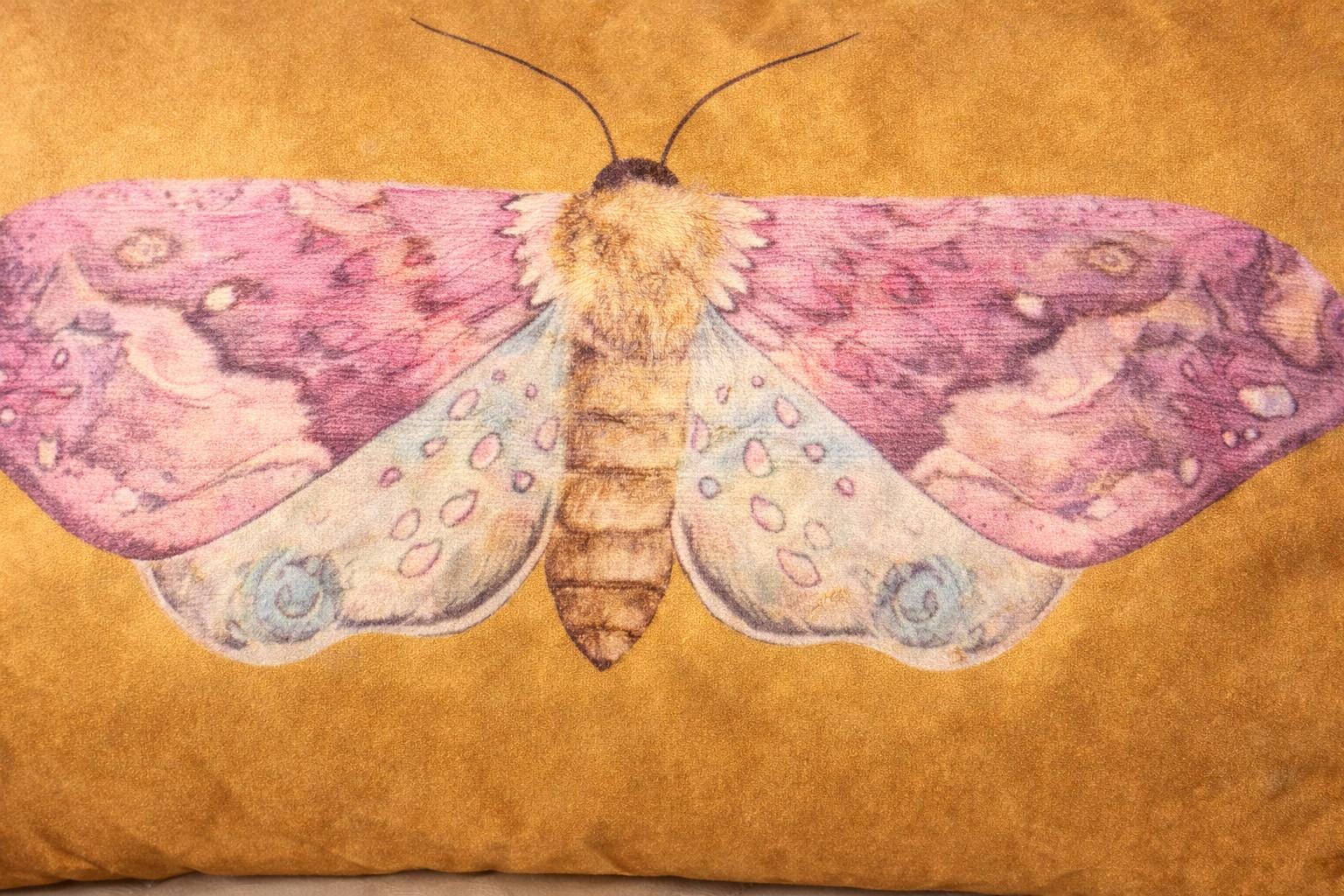 Aurora Moth Pillow Cover: Gold Velvet, Boho Home Decor